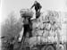 Dump 1943.2127