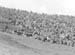 Scout Camp 1954 10