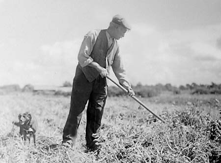 1950 Local People 24