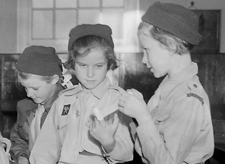 1950 Organisations 33