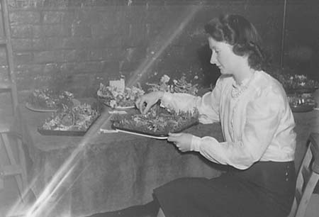 1950 Organisations 77