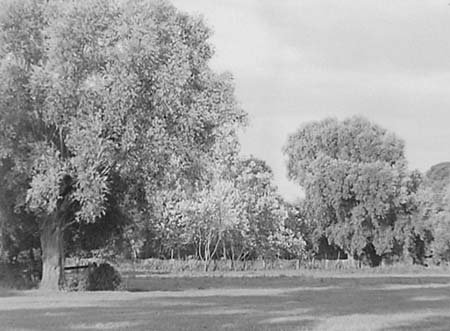 1950 Scenic Views 18