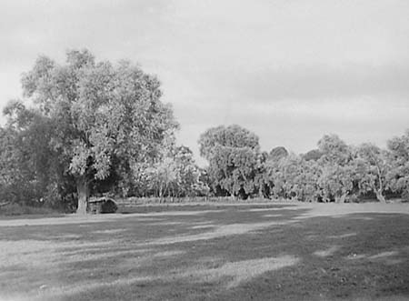 1950 Scenic Views 19