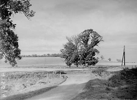 1950 Scenic Views 20