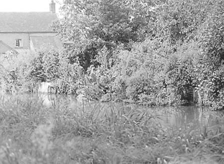 1950 Scenic Views 36