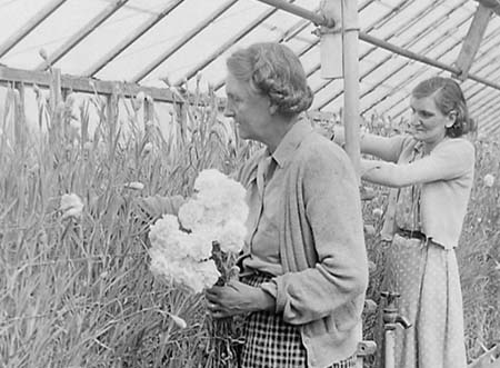 1950 Tradespeople 34