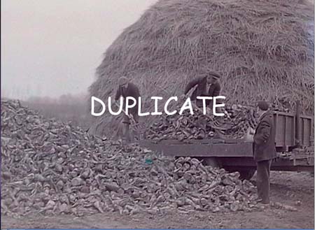 1943 Sugar Beet 03