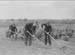 1941 Boy Gardeners 04