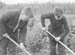 1941 Boy Gardeners 05