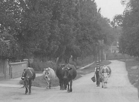  e1900s Clophill Road 05
