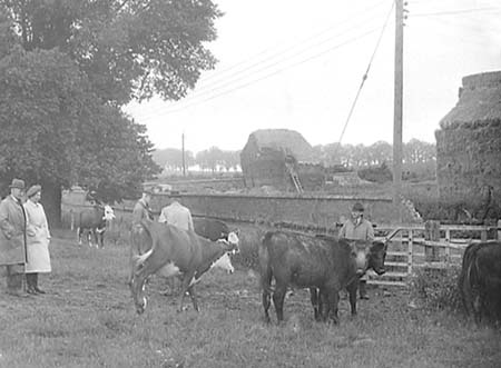 1948 Farming 04