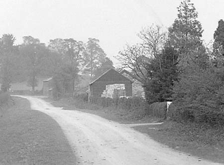 e1900s Country Lane 03