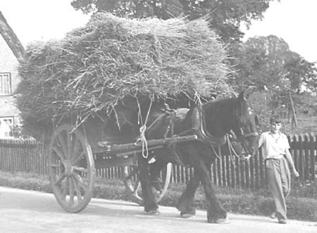 1941 Harvest 02