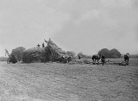 1942 Clover Harvest 01