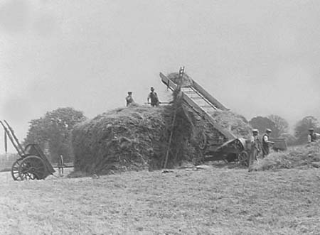 1942 Clover Harvest 02