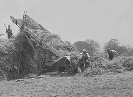 1942 Clover Harvest 03
