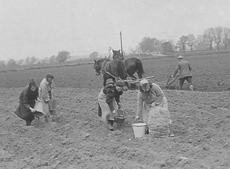 1943 Farming 01