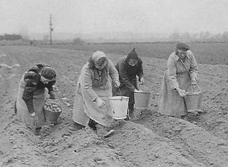 1943 Farming 02