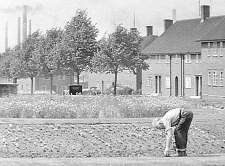 1956 Village 02
