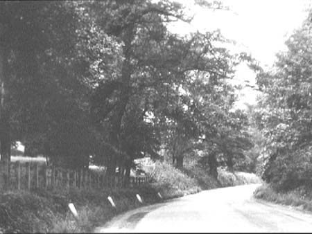 Hazelwood Lane e1900s.1056