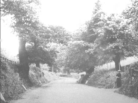 Hazelwood Lane e1900s.4268