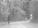Hazelwood Lane. 1951 06