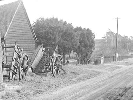 Rural Lane 1946.2880