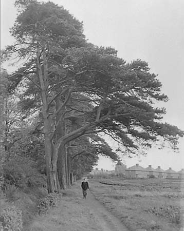 Sweet Briar Path 1952 02