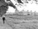 Sweet Briar Path 1952 04
