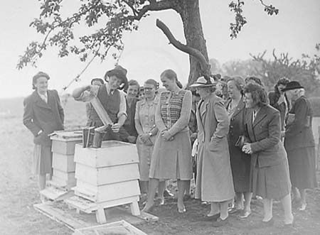 1948 Bee-Keeping 01