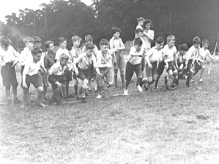 Sports 1946.2858