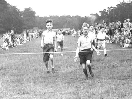 Sports 1946.2859