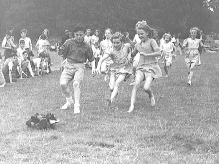 Sports 1946.2862