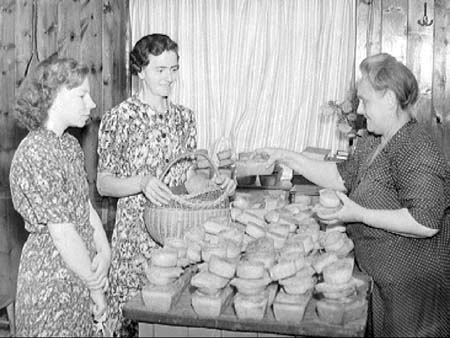 Pies 1947.4107
