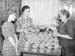Pies 1947.4107