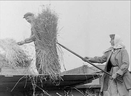 1949 Threshing 03