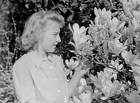 1946 Blossom 05