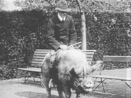  c1900 Pig 05