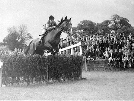 Gymkhana.2208