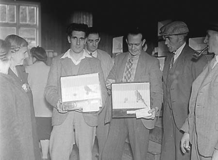 1948 Bird Show 01