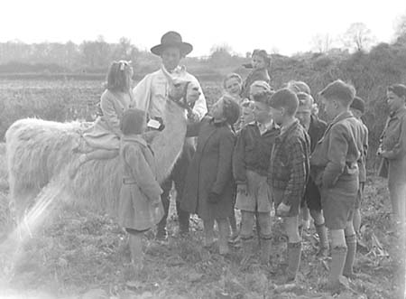 1949 Circus Llama 03