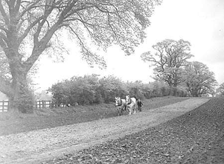 1949 Farming 04