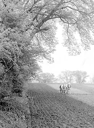 1949 Farming 10
