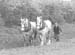 1949 Farming 06
