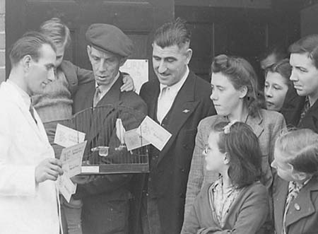 1947 Bird Show 04