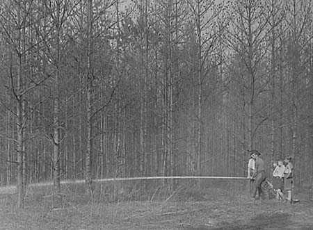 1947 Forest Fire 03