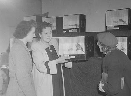 1948 Bird Shows 03
