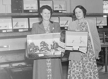 1949 Bird Shows 04