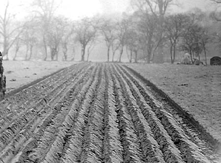 1942 Farming Demo 01
