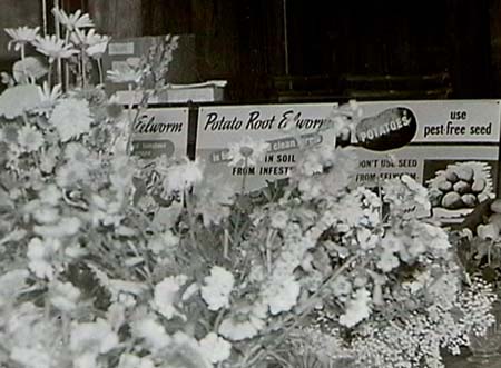 1945 Flower Show 03